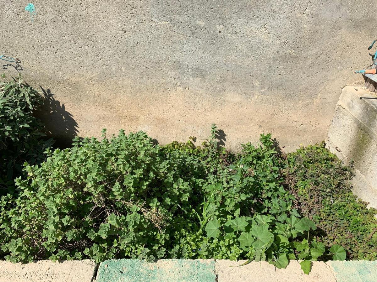 Khan Alsira - חאן אלסרה Exterior photo